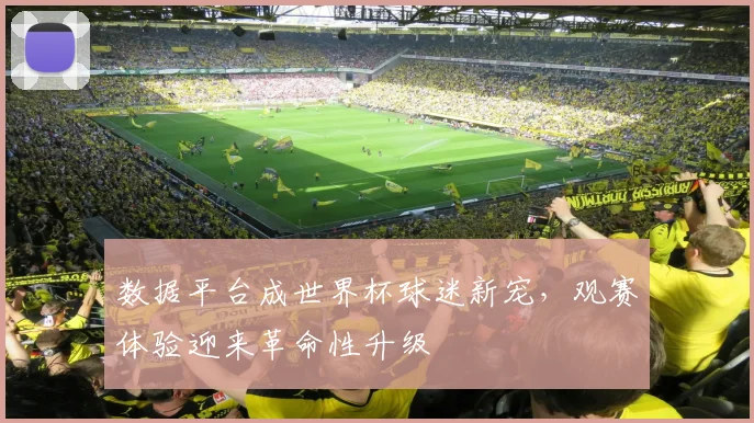 数据平台成世界杯球迷新宠，观赛体验迎来革命性升级