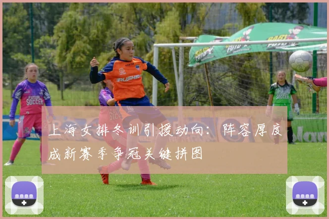 上海女排冬训引援动向：阵容厚度成新赛季争冠关键拼图