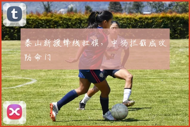 泰山新援锋线扛旗，中场拦截成攻防命门